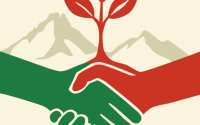 Lettre d’information N°1